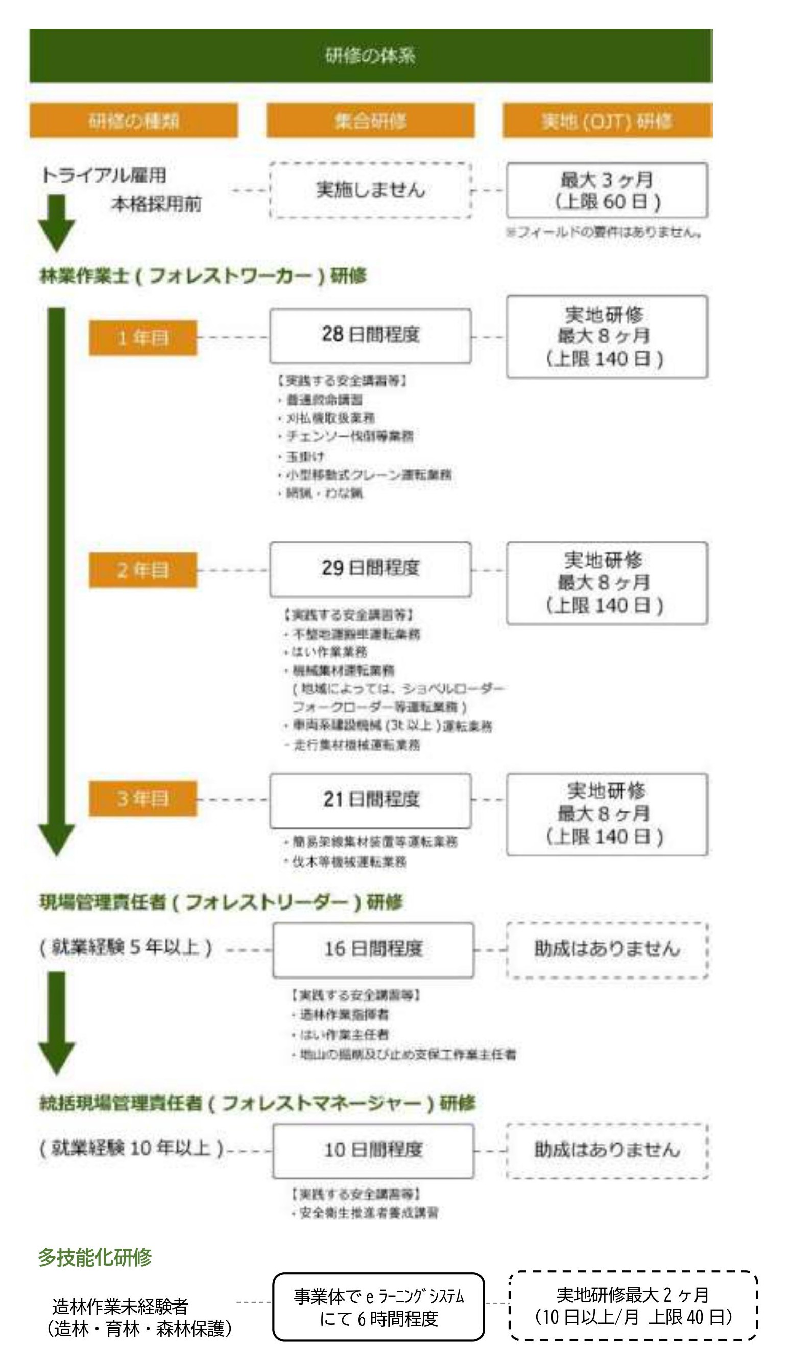 多技能化研修画像.jpg