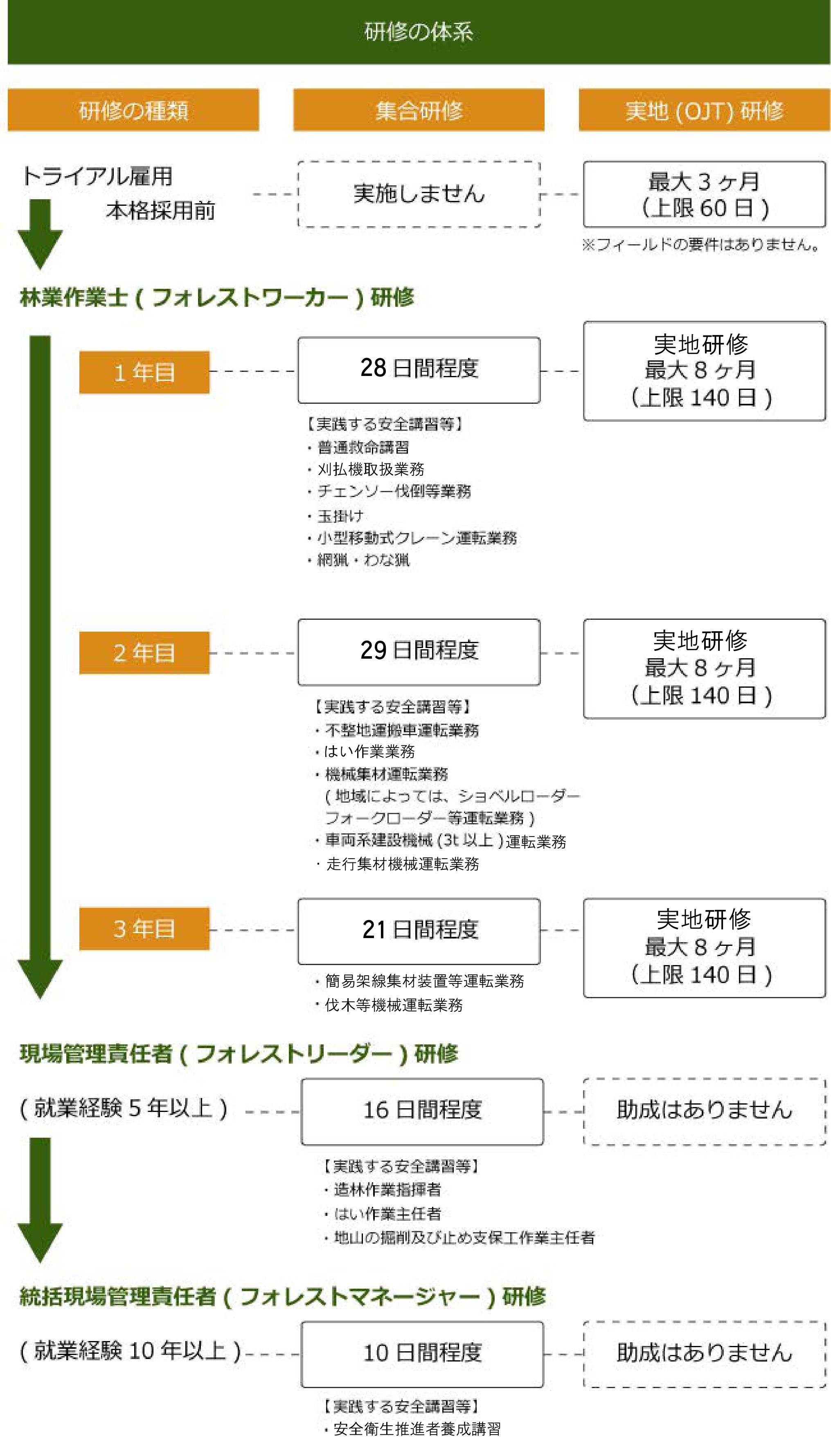 緑研修体系.jpg